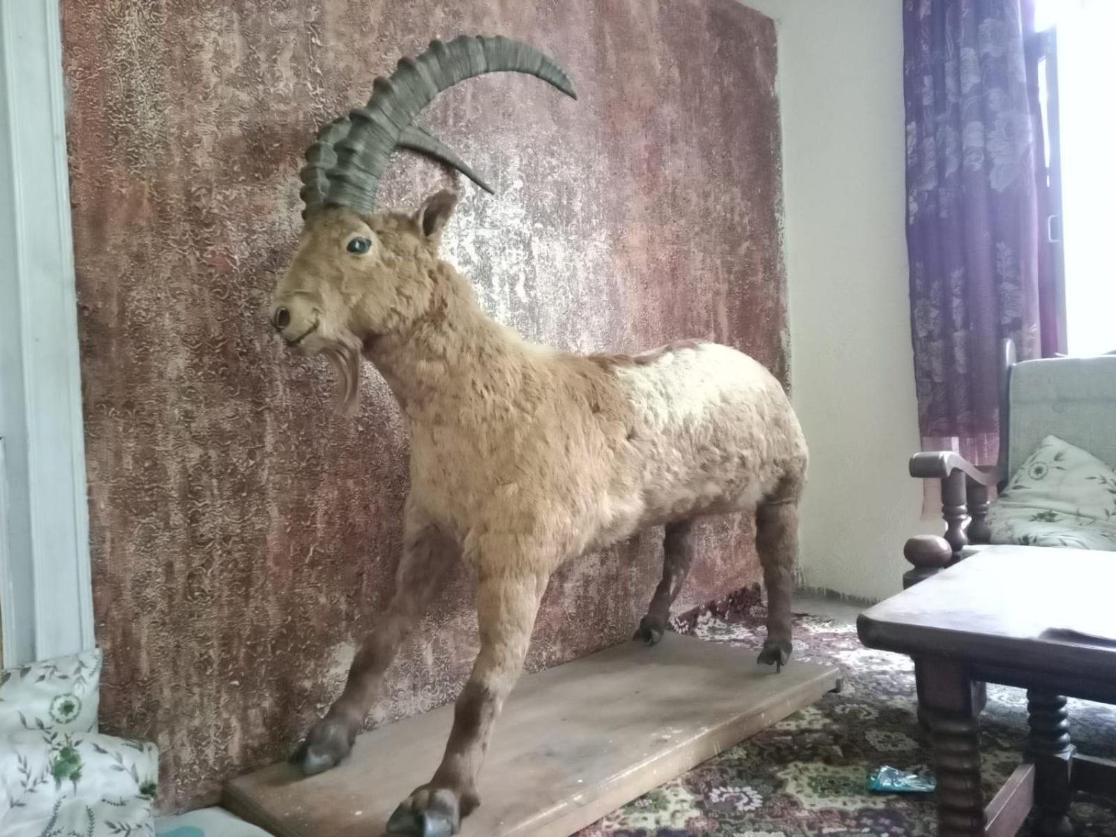 Golden Ibex Resort Skardu Luaran gambar