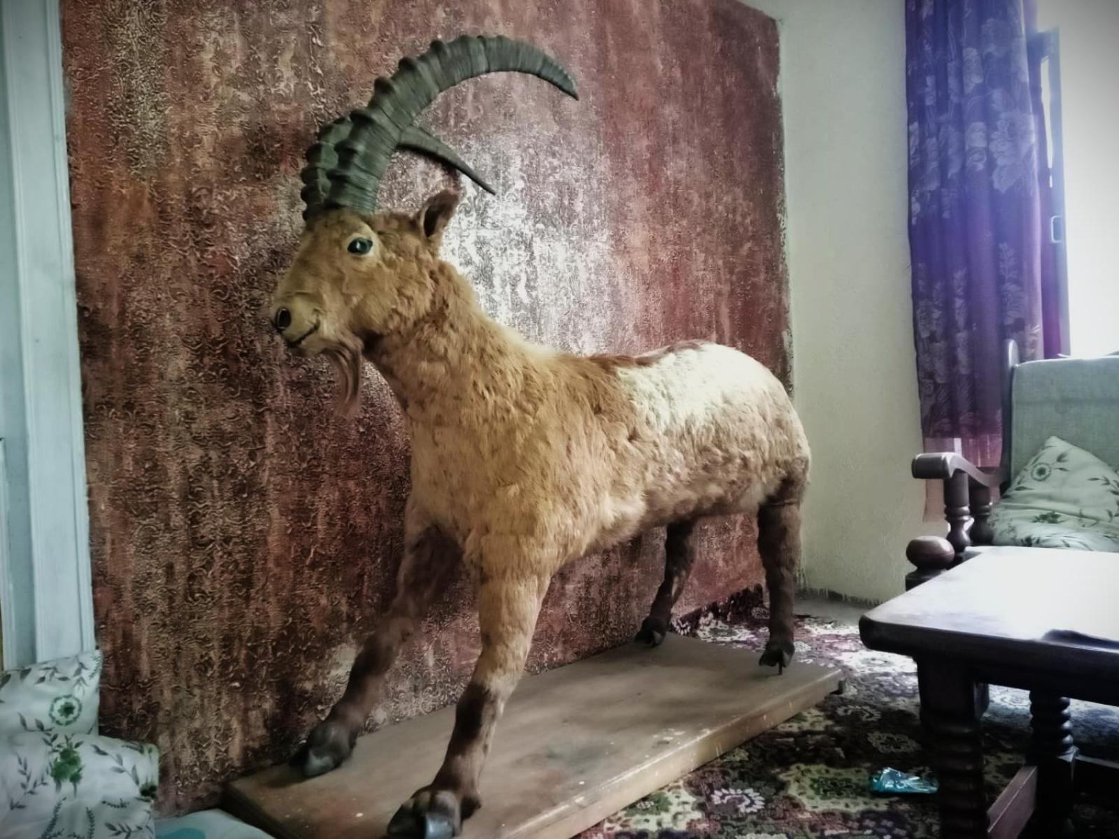 Golden Ibex Resort Skardu Luaran gambar